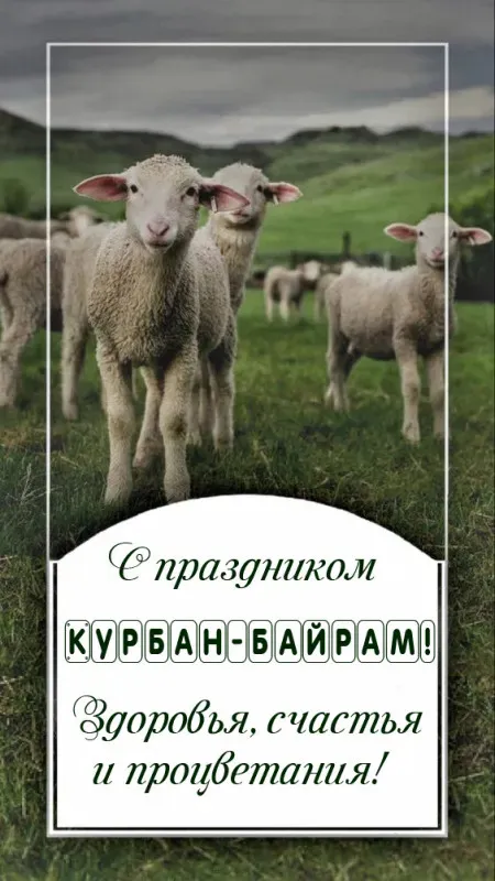Курбан-байрам: 250 картинок с праздником. Красивые картинки с праздником Курбан-байрам